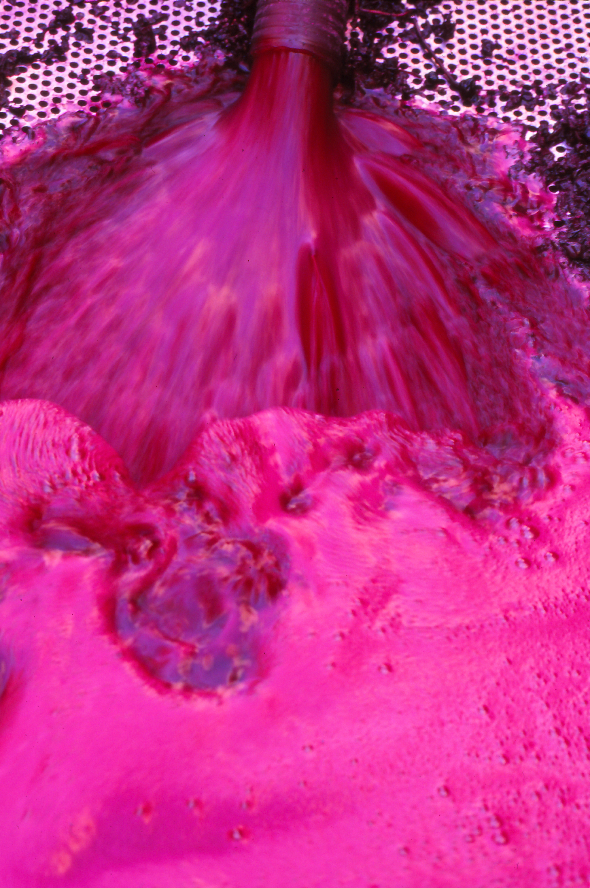 Amphorae Project A Journey from the vineyard to the barrel