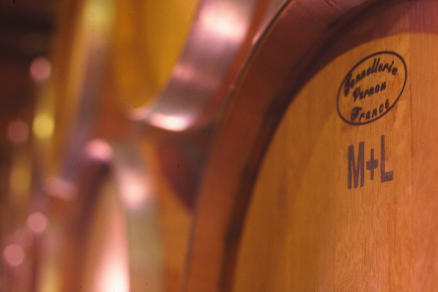 Amphorae Project A Journey from the vineyard to the barrel